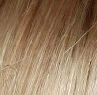 Breeze wig - Raquel Welch