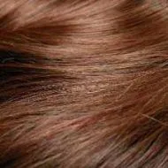 Breeze wig - Raquel Welch