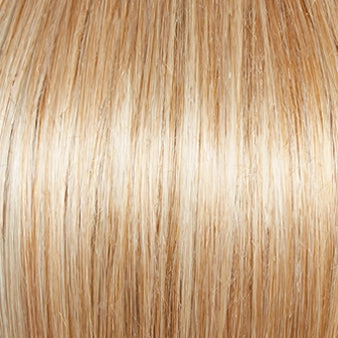Carte Blanche Wig by Gabor | Lace Front | Mono Top | Large Cap
