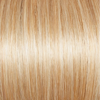 Carte Blanche Wig by Gabor | Lace Front | Mono Top | Large Cap