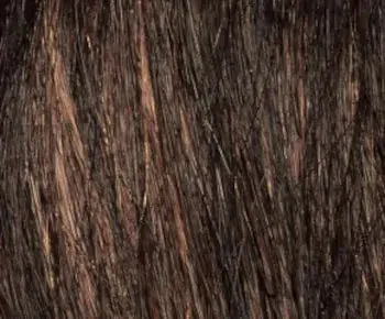 Coco wig - Envy Collection