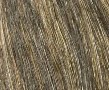 Coco wig - Envy Collection