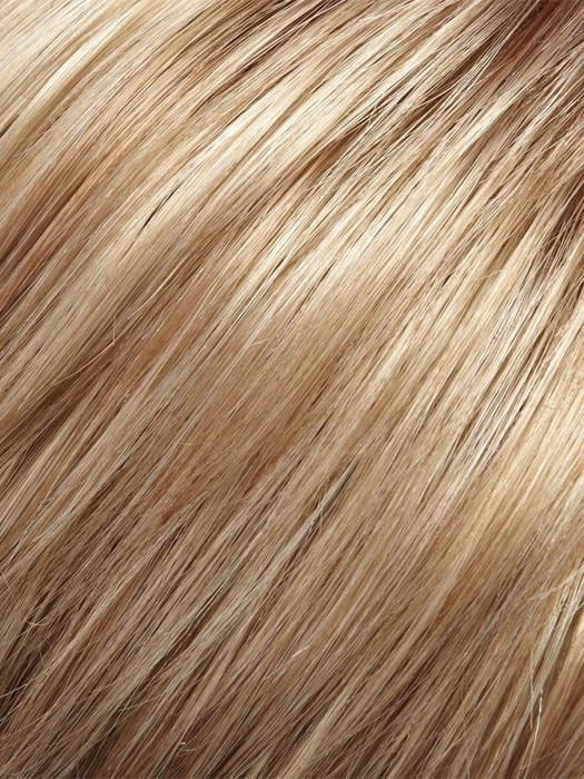 Hillary | Synthetic Lace Front Wig (Basic Cap)