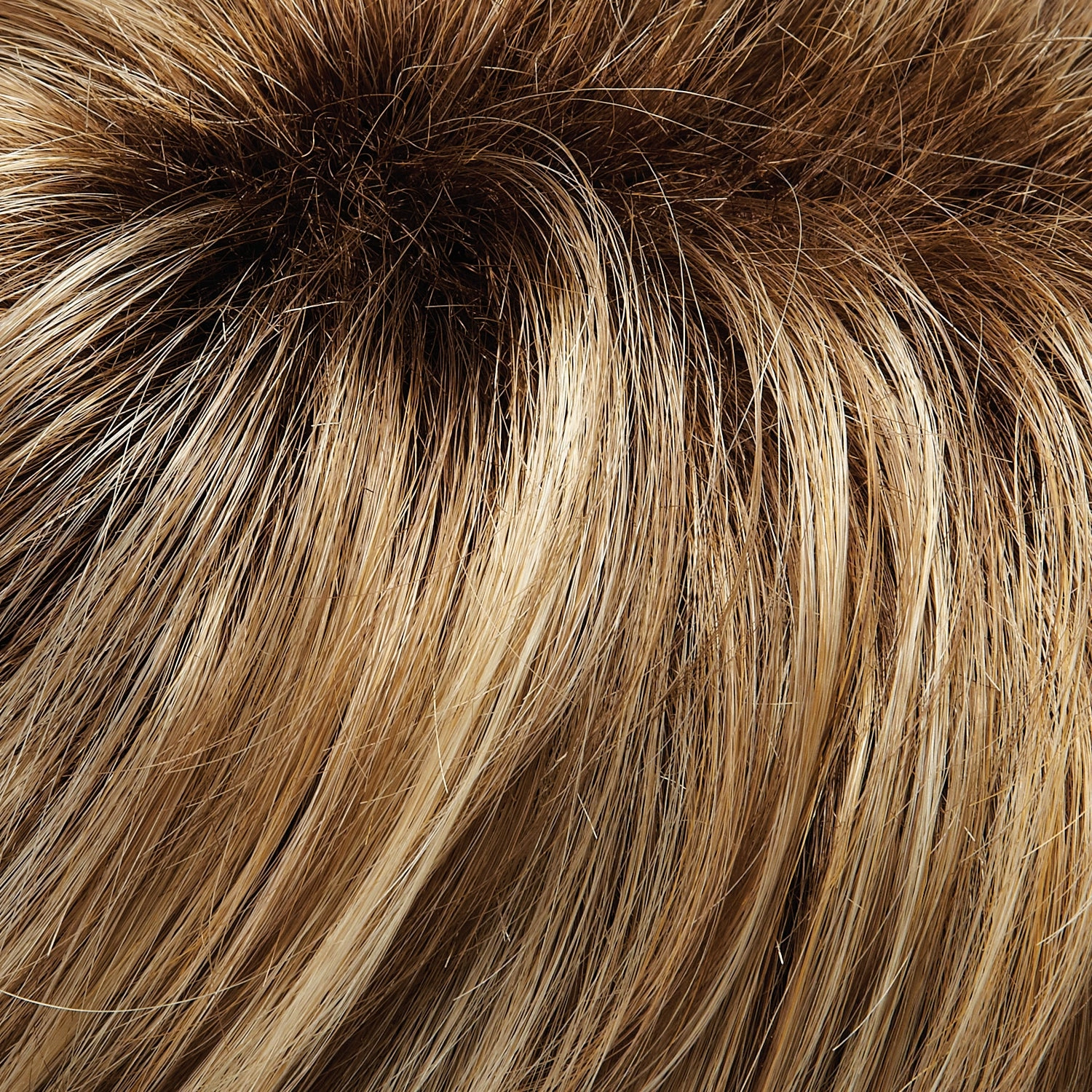 January Wig by Jon Renau | SmartLace | Mono Top | Average Cap | SHIRLEY'S CLOSET WIG | FINAL SALE