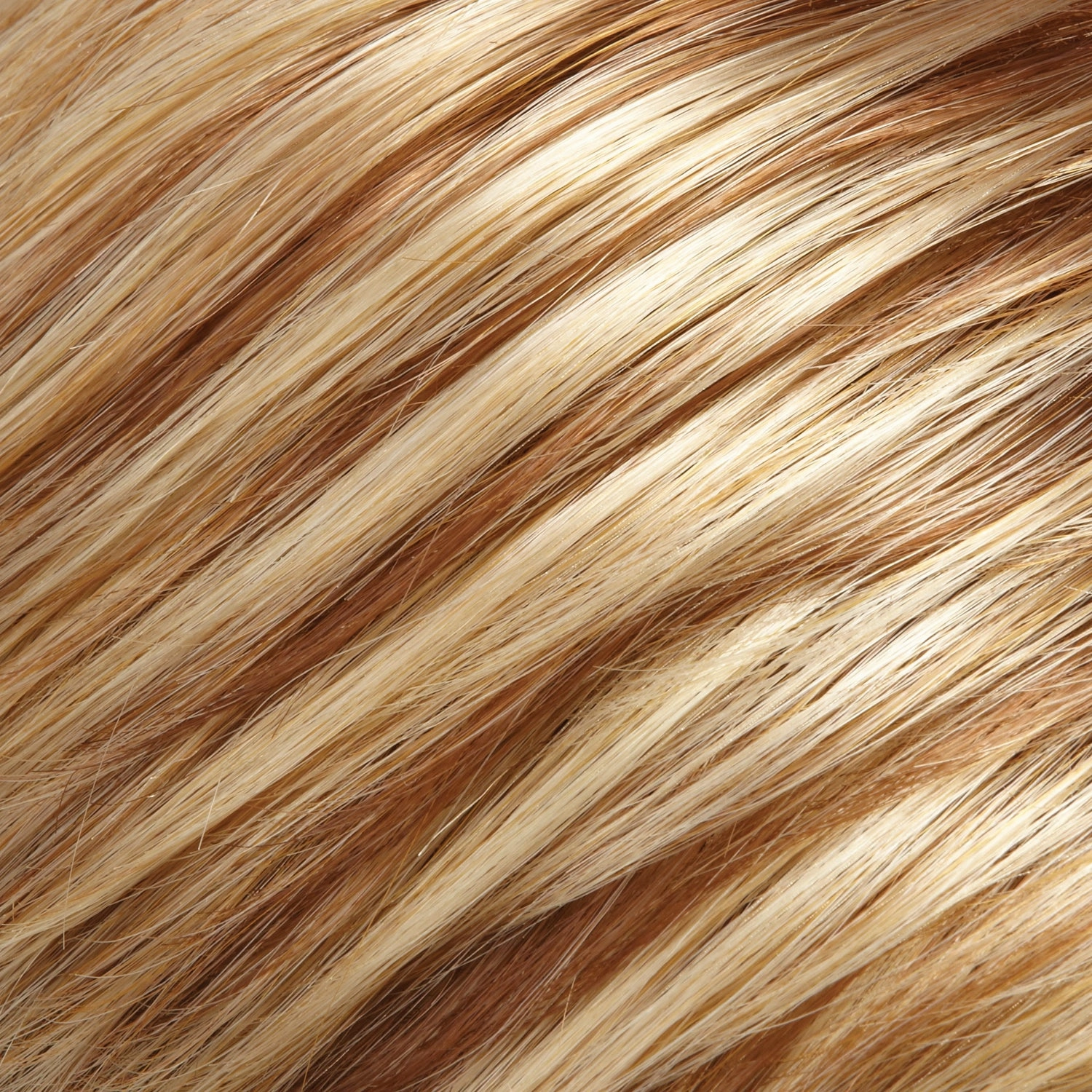 January Wig by Jon Renau | SmartLace | Mono Top | Average Cap | SHIRLEY'S CLOSET WIG | FINAL SALE