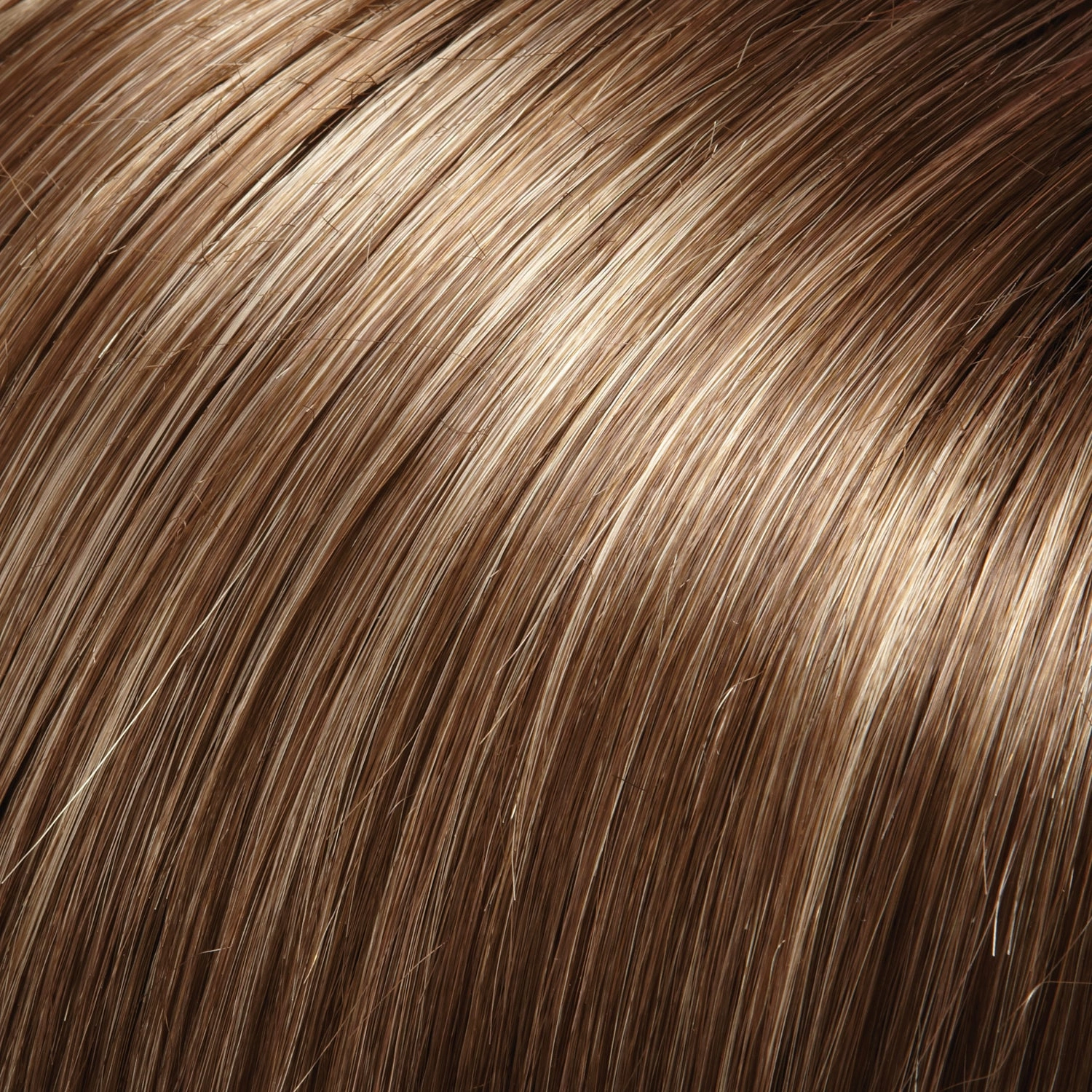 January Wig by Jon Renau | SmartLace | Mono Top | Average Cap | SHIRLEY'S CLOSET WIG | FINAL SALE