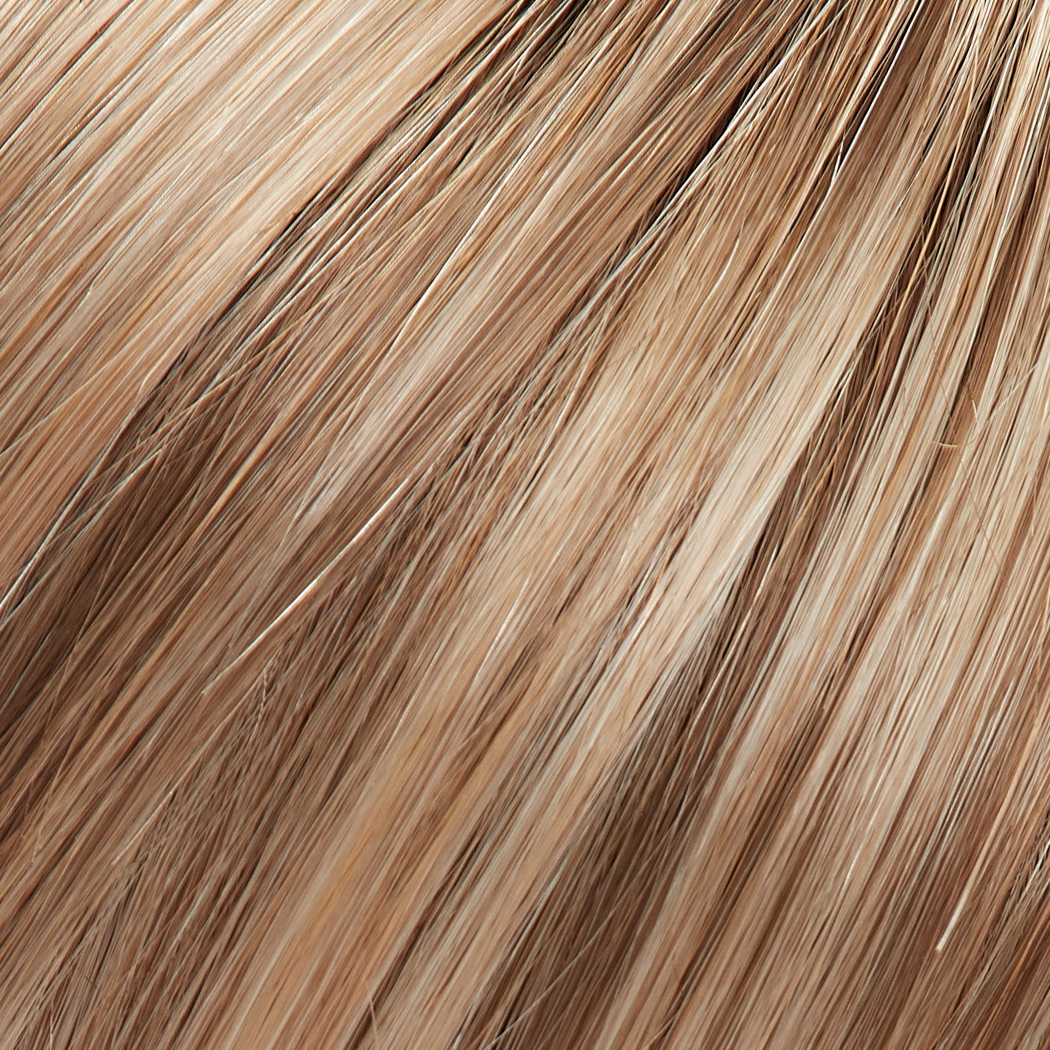 January Wig by Jon Renau | SmartLace | Mono Top | Average Cap | SHIRLEY'S CLOSET WIG | FINAL SALE