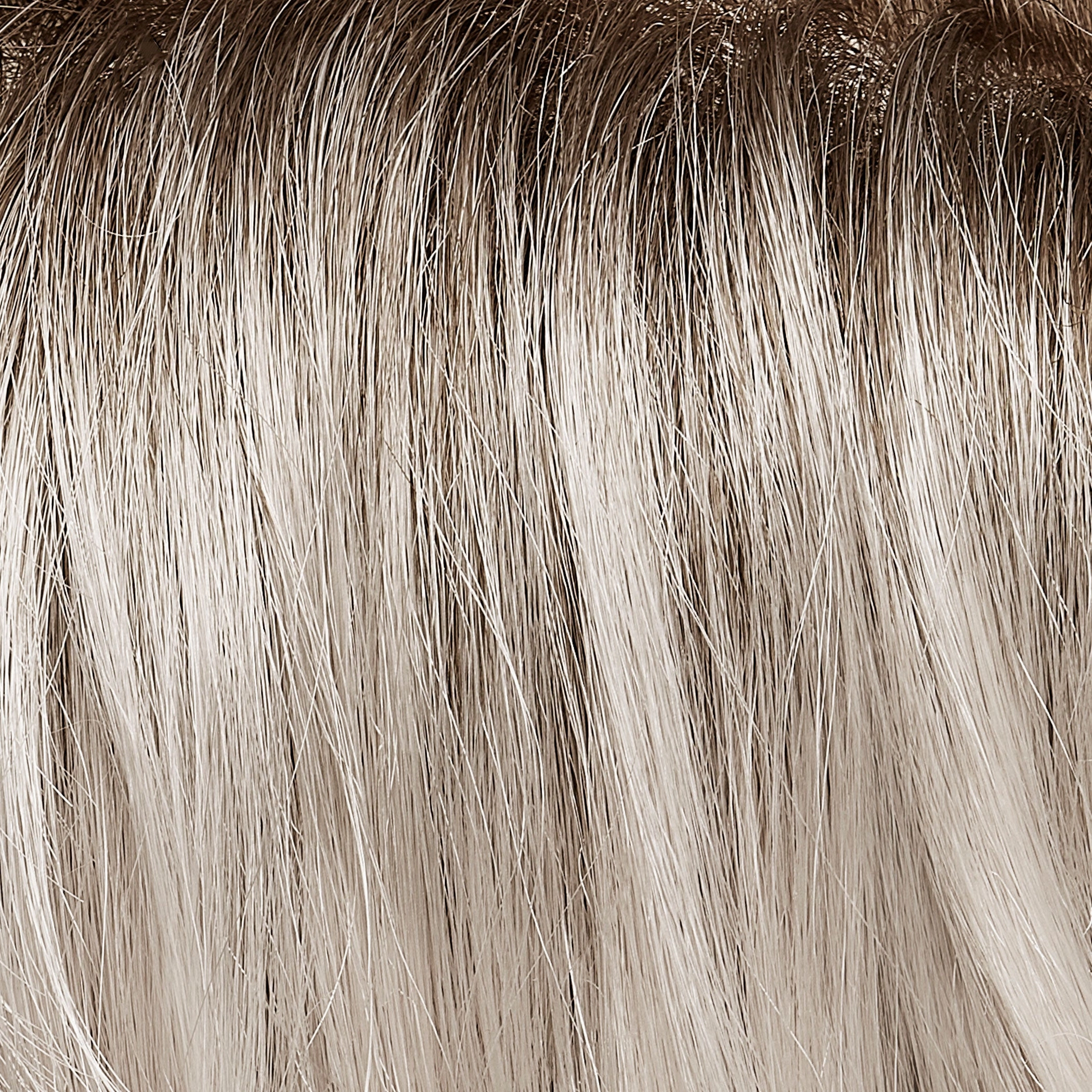 January Wig by Jon Renau | SmartLace | Mono Top | Average Cap | SHIRLEY'S CLOSET WIG | FINAL SALE