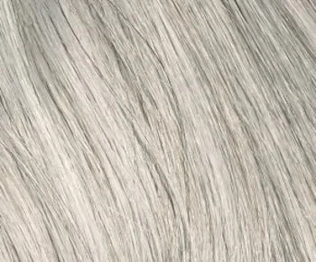 Roxie wig - Envy Collection
